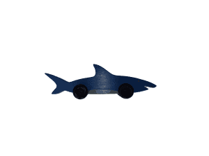 Shark NBG RF 300x225 1